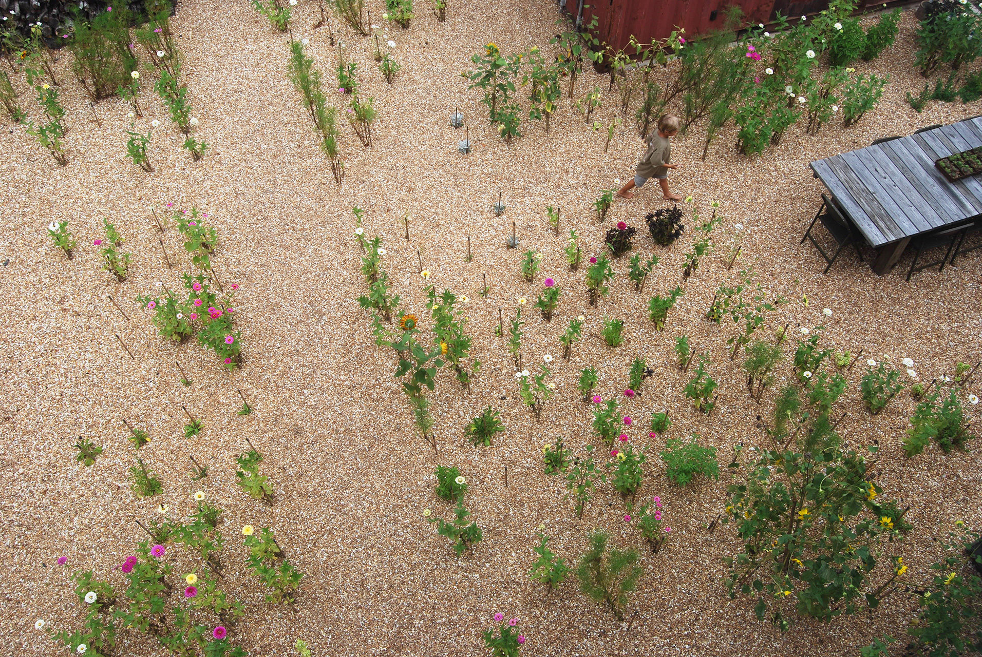 gravel garden