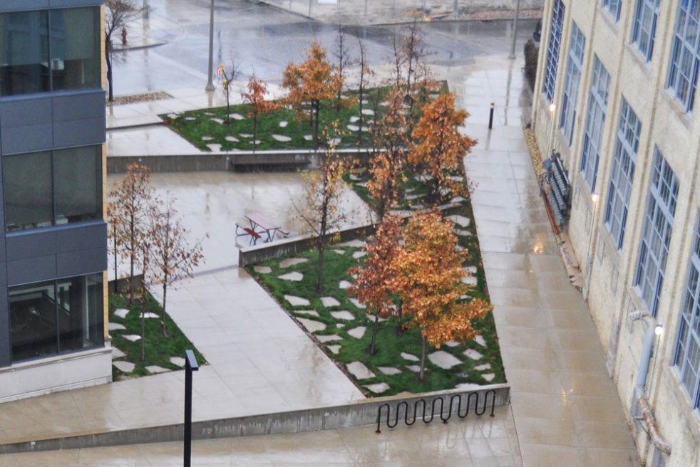 Zilber School of Public Health